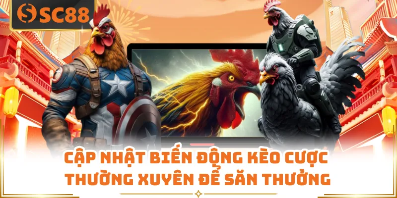 Cập nhật biến động kèo cược thường xuyên để săn thưởng